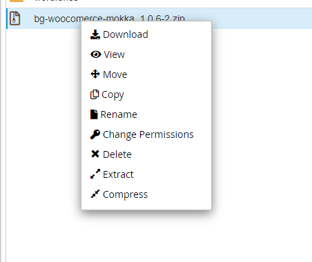 extract-cpanel.png